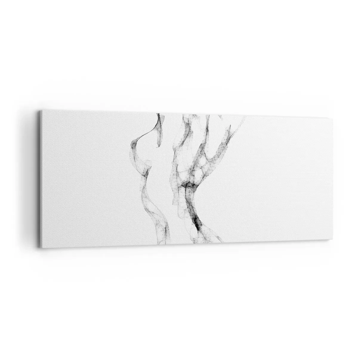 Obraz na plátne - Krásna a silná - 120x50 cm