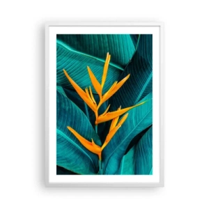 Plagát v bielom ráme - Rajský kvet - 50x70 cm