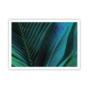 Plagát - Anatómia zelene - 100x70 cm