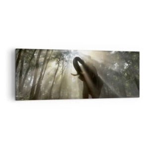 Obraz na plátne - Pod šťastnou hviezdou - 140x50 cm