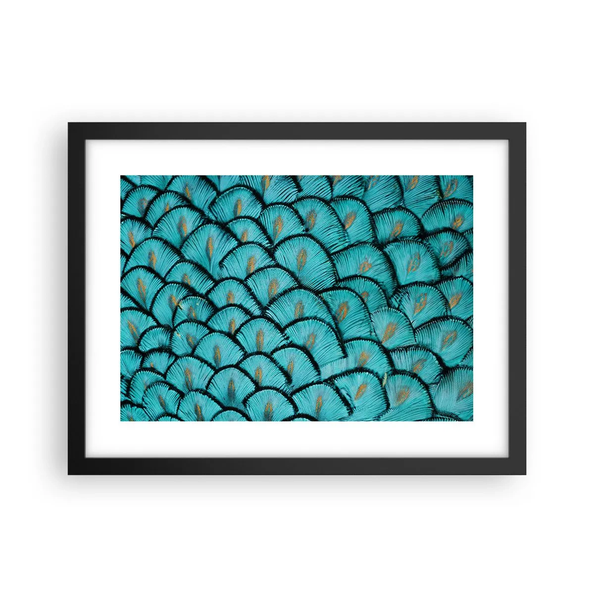 Plagát v čiernom ráme - Veľká slávnosť peria - 40x30 cm