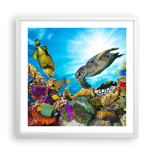 Plagát v bielom ráme - Koralová promenáda - 50x50 cm