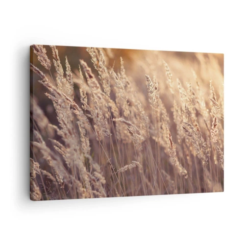 Obraz na plátne - Zlaté trávy na pozadí zapadajúceho slnka - 70x50cm - Pripravení privítať jeseň - Moderná nástenná dekorácia do obývacej izby a spálne ARTTOR