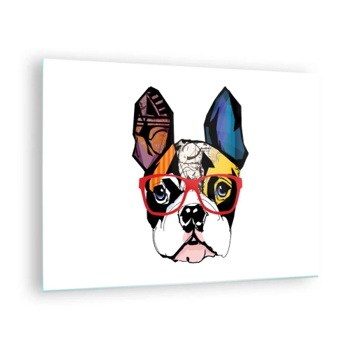 Obraz na skle - Bulldog s farebnými okuliarmi na bielom pozadí - 70x50cm - Intelektuál - Moderná nástenná dekorácia do obývacej izby a spálne ARTTOR
