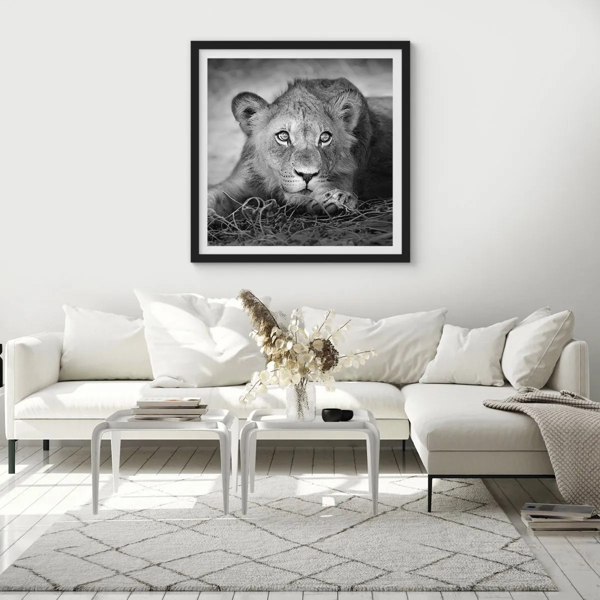 Plagát v čiernom ráme - Kráľovské šteňa - 50x50 cm