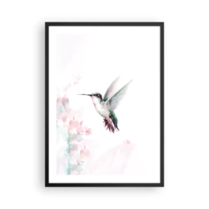 Plagát v čiernom ráme - Kolibrík za letu s jemným kvetinovým pozadím - 50x70cm - Mávanie - Moderná nástenná dekorácia do obývacej izby a spálne ARTTOR
