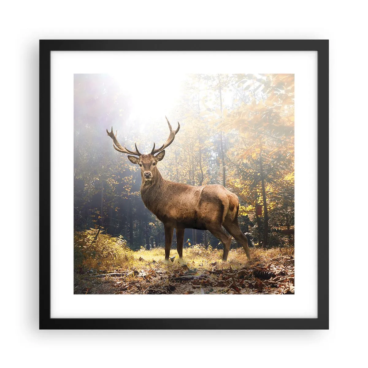 Plagát v čiernom ráme - Plné dôstojnosti - 40x40 cm