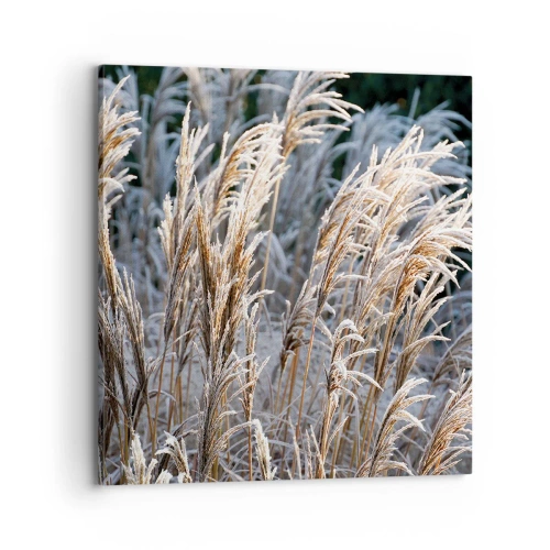 Obraz na plátne - Mrazom pokryté - 70x70 cm