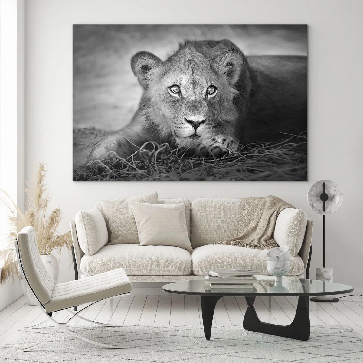 Obraz na skle - Levíča v čiernobielom hľadí do kamery - 70x50cm - Kráľovské šteňa - Moderná nástenná dekorácia do obývacej izby a spálne ARTTOR