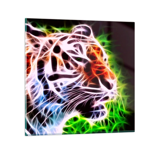 Obraz na skle - Nebezpečná aura - 70x70 cm