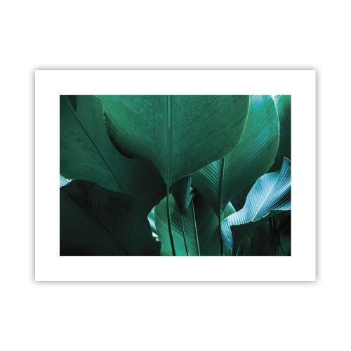 Plagát - Obrátené k svetlu - 40x30 cm