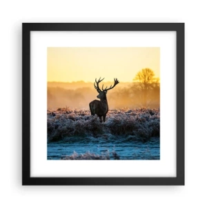 Plagát v čiernom ráme - Korunovaný na svojom panstve - 30x30 cm