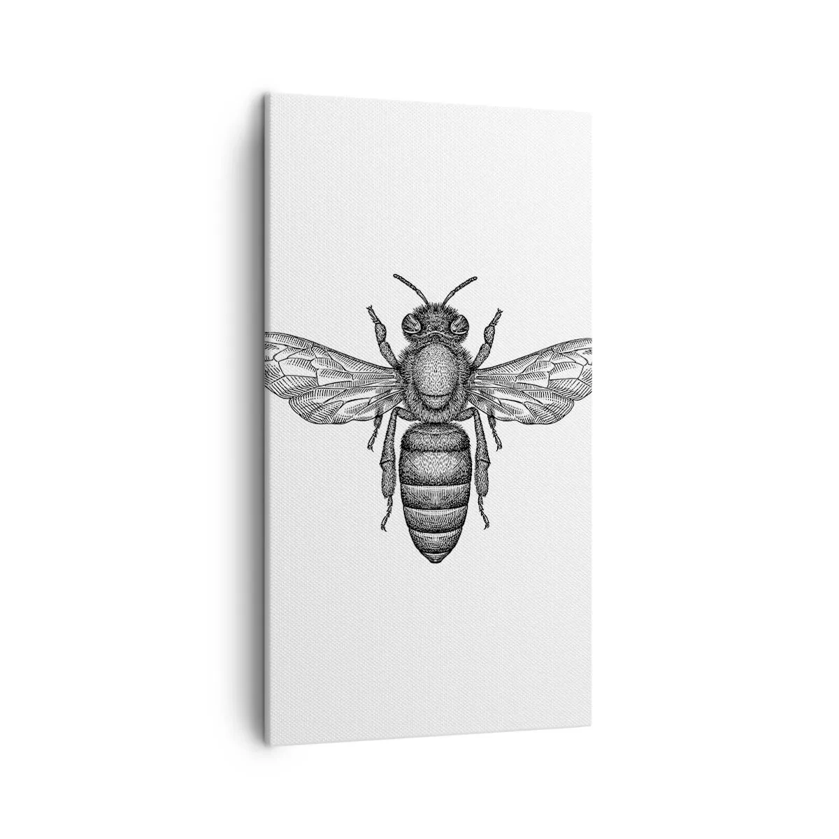 Obraz na plátne - Hmyzí portrét - 45x80 cm