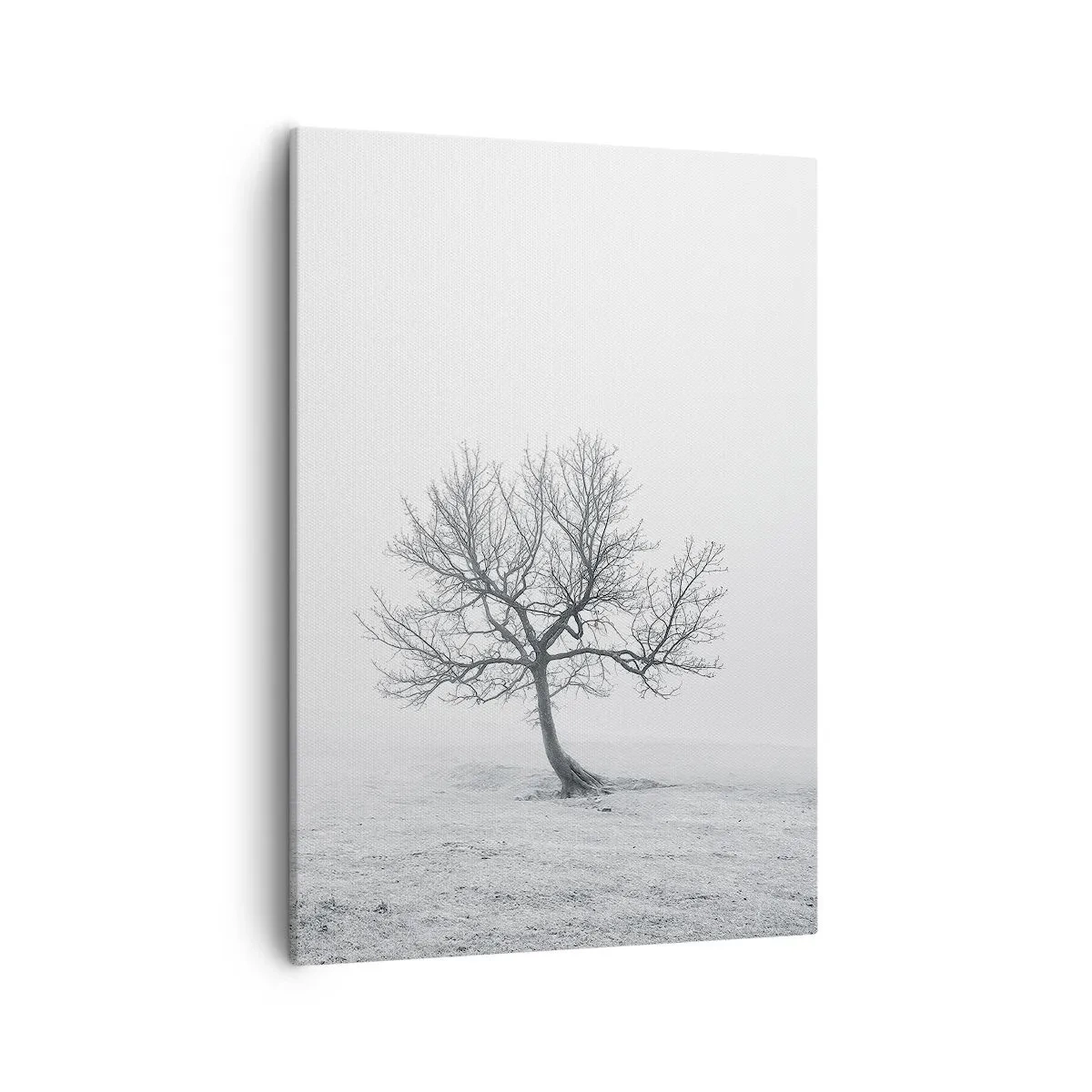 Obraz na plátne - Proti ničote - 50x70 cm