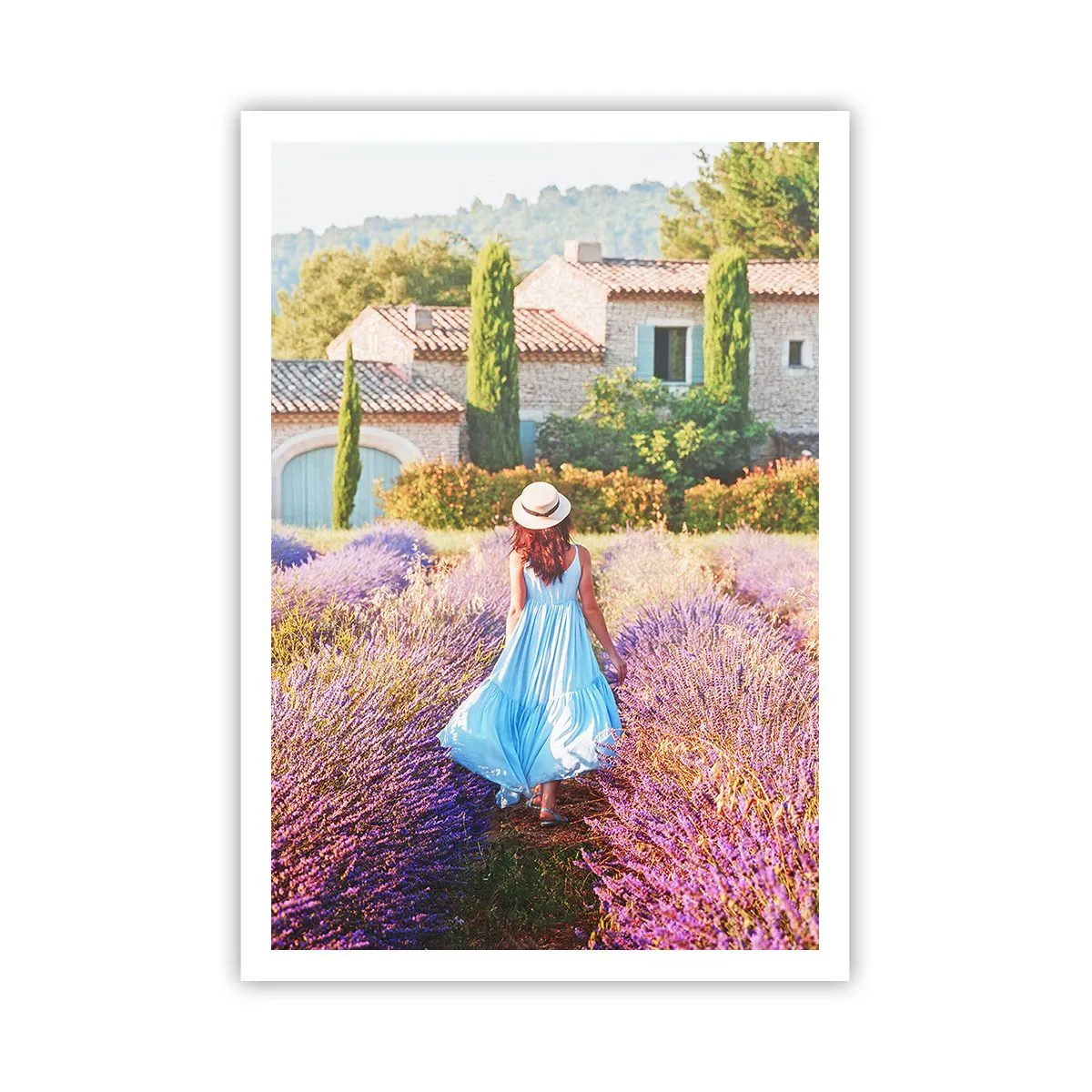 Plagát - Levanduľové dievča - 70x100 cm