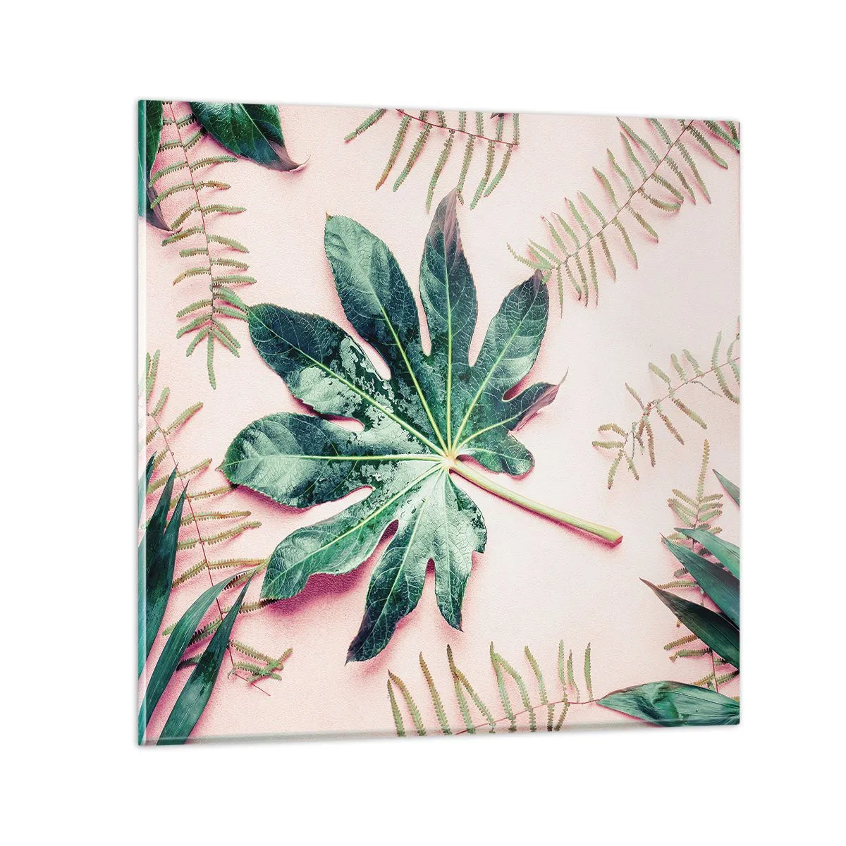 Obraz na skle - Štúdia zelenej na ružovom pozadí - 40x40 cm