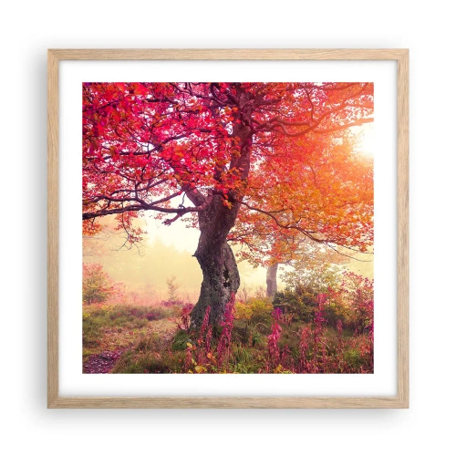 Plagát v ráme zo svetlého duba - Šialenstvo rozkvetu - 50x50 cm