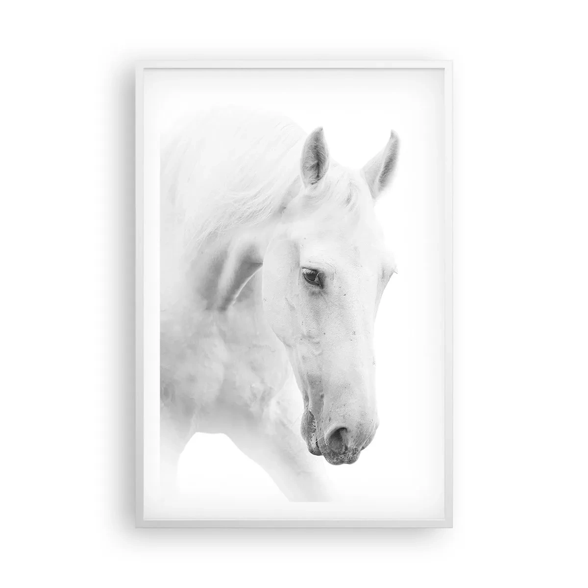 Plagát v bielom ráme - Je to priateľstvo…? - 61x91 cm