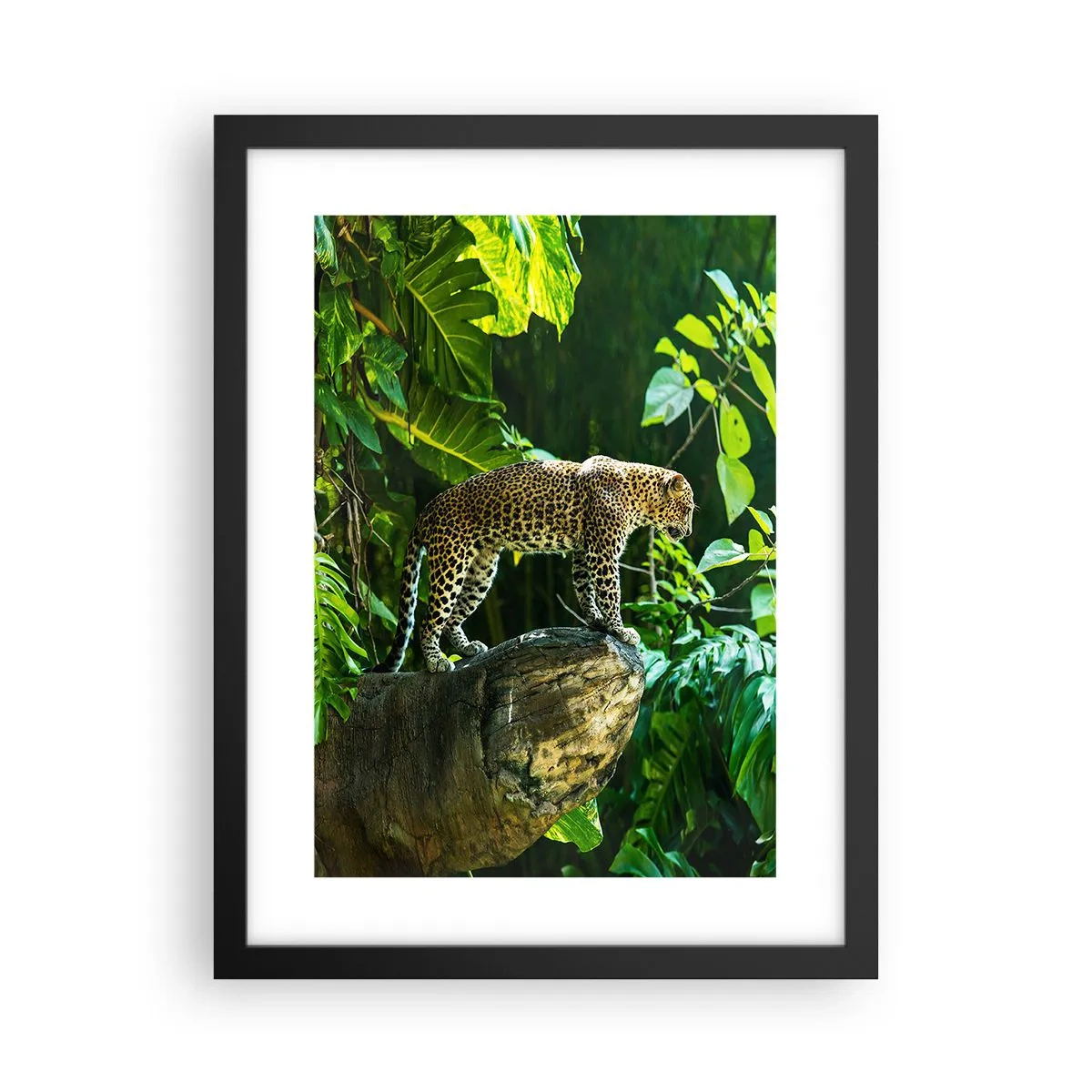 Plagát v čiernom ráme - Na lov? - 30x40 cm