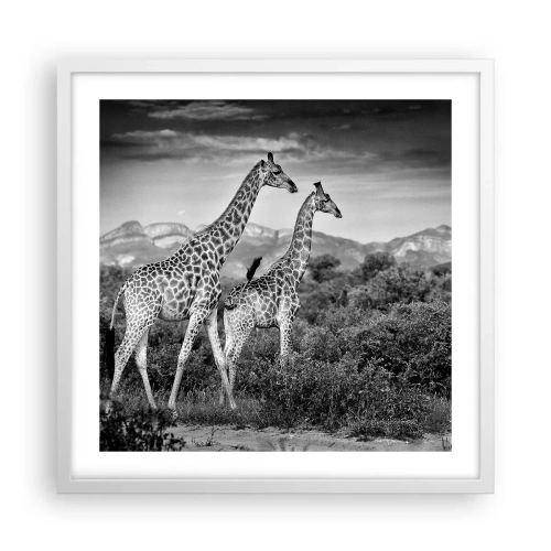 Plagát v bielom ráme - Vyššie kruhy v Afrike - 50x50 cm