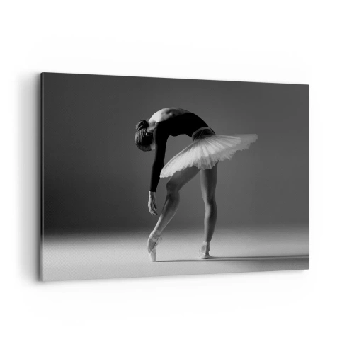 Obraz na plátne - Bella ballerina - 100x70 cm