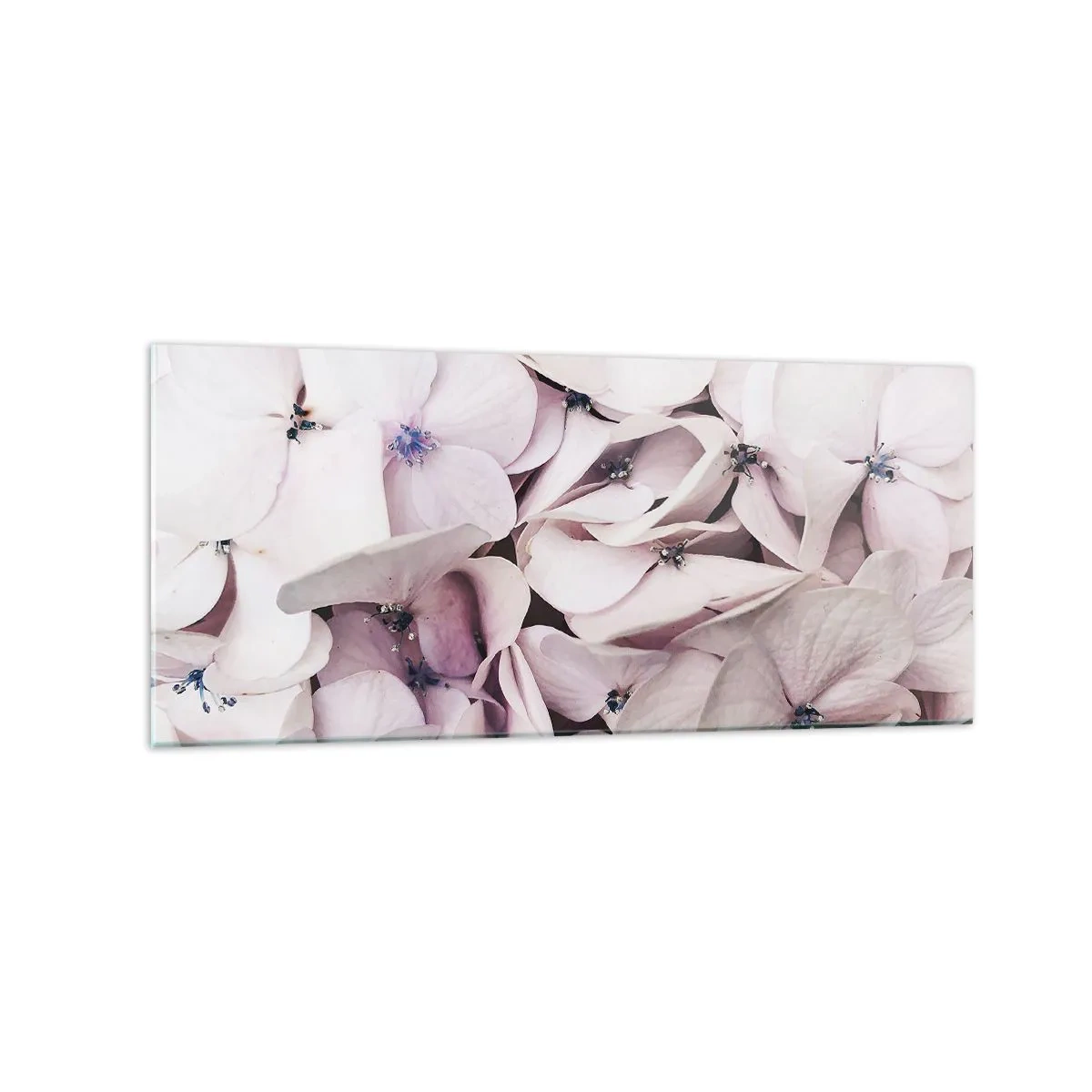 Obraz na skle - V záplave kvetov - 120x50 cm