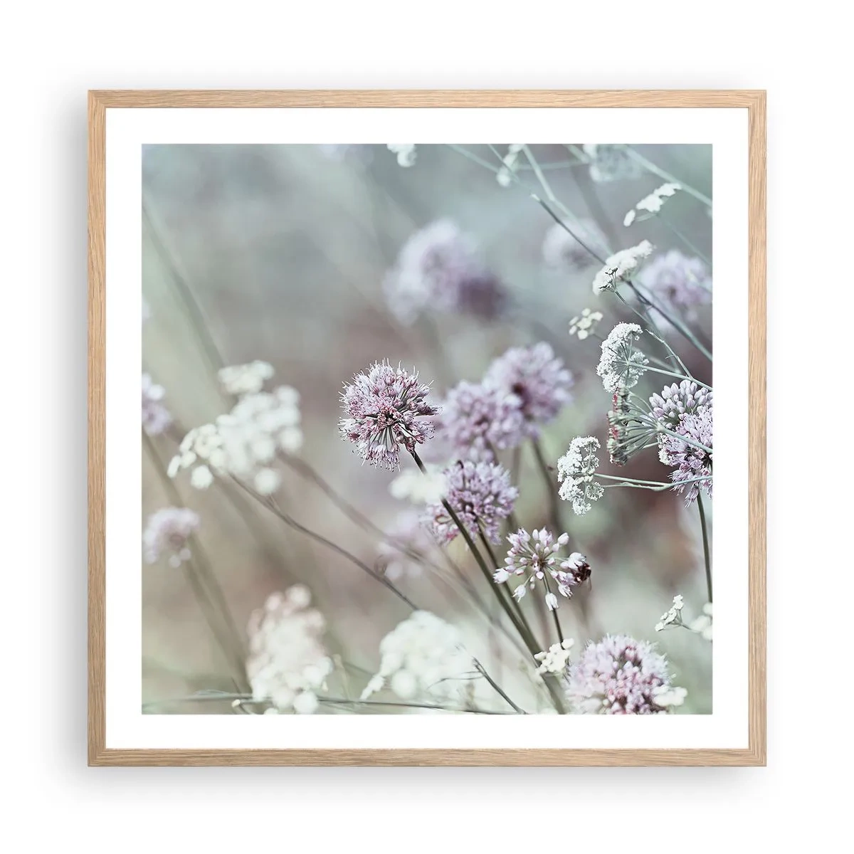 Plagát v ráme zo svetlého duba - Sladké filigrány byliniek - 60x60 cm