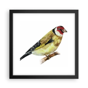 Plagát v čiernom ráme - Vtáčí portrét - 30x30 cm