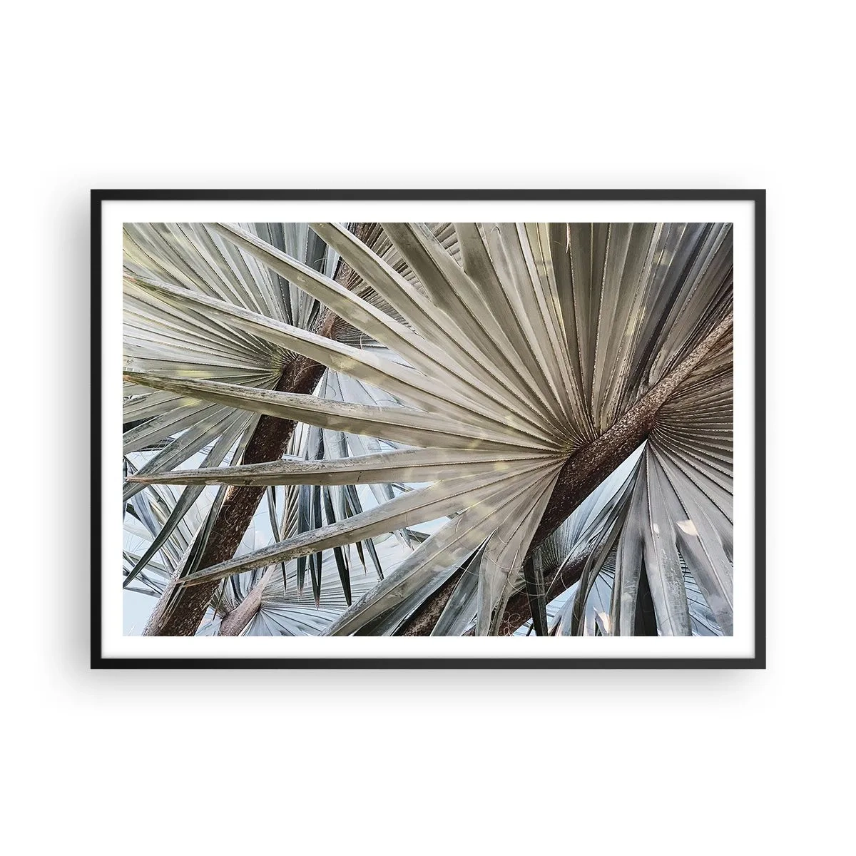 Plagát v čiernom ráme - Vejáre v trópoch - 100x70 cm