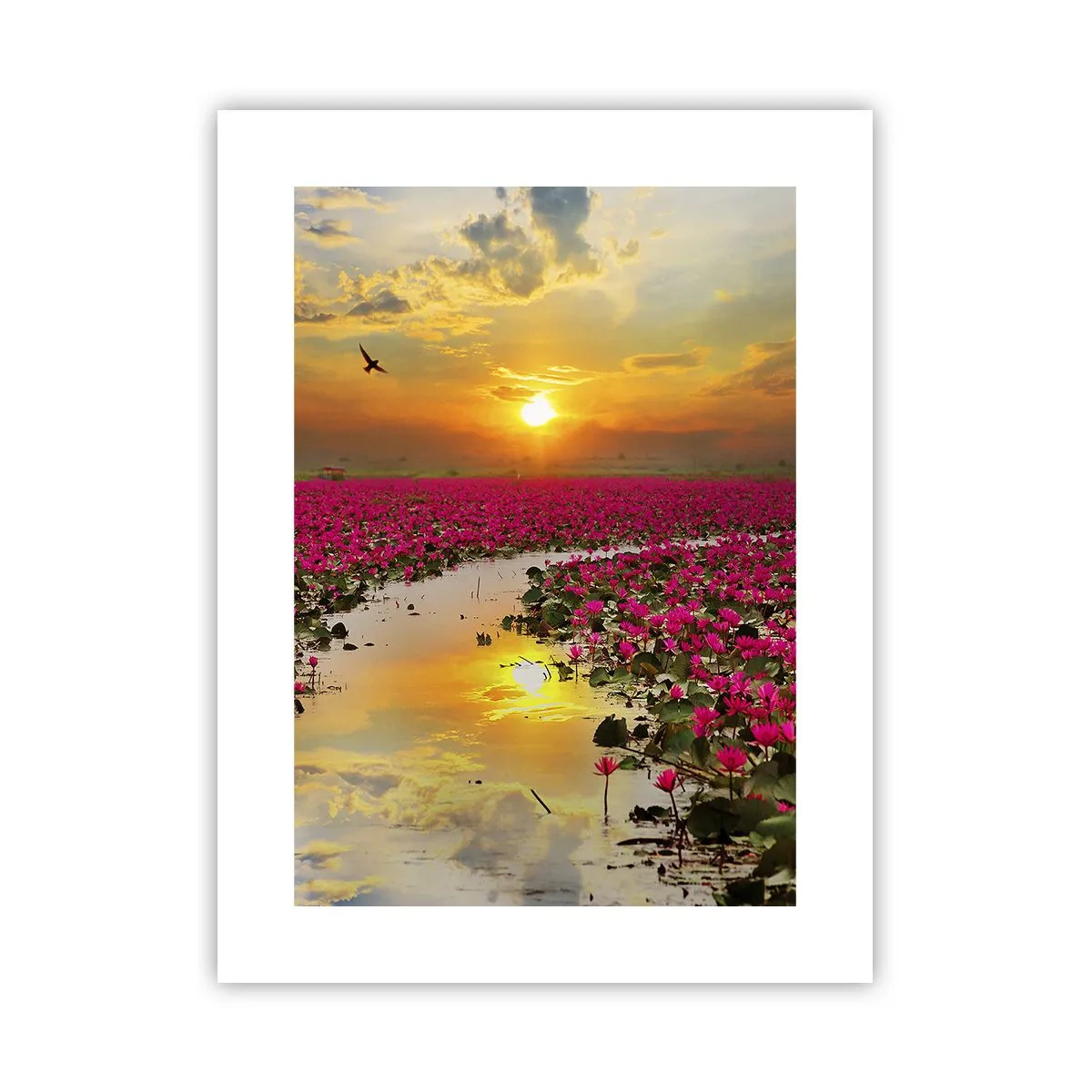 Plagát - Tajomný život jazera - 30x40 cm