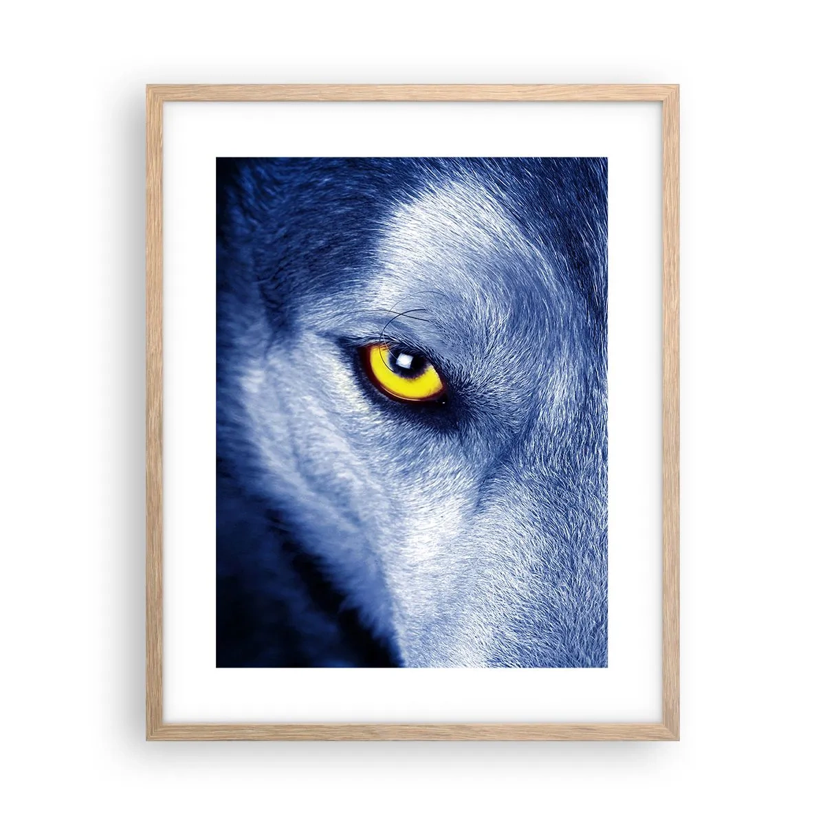 Plagát v ráme zo svetlého duba - Fascinujúci pohľad - 40x50 cm