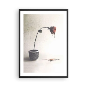 Plagát v čiernom ráme - Ruža v kvetináči s umeleckým splývavým efektom - 50x70cm - Rosa dolorosa - Moderná nástenná dekorácia do obývacej izby a spálne ARTTOR