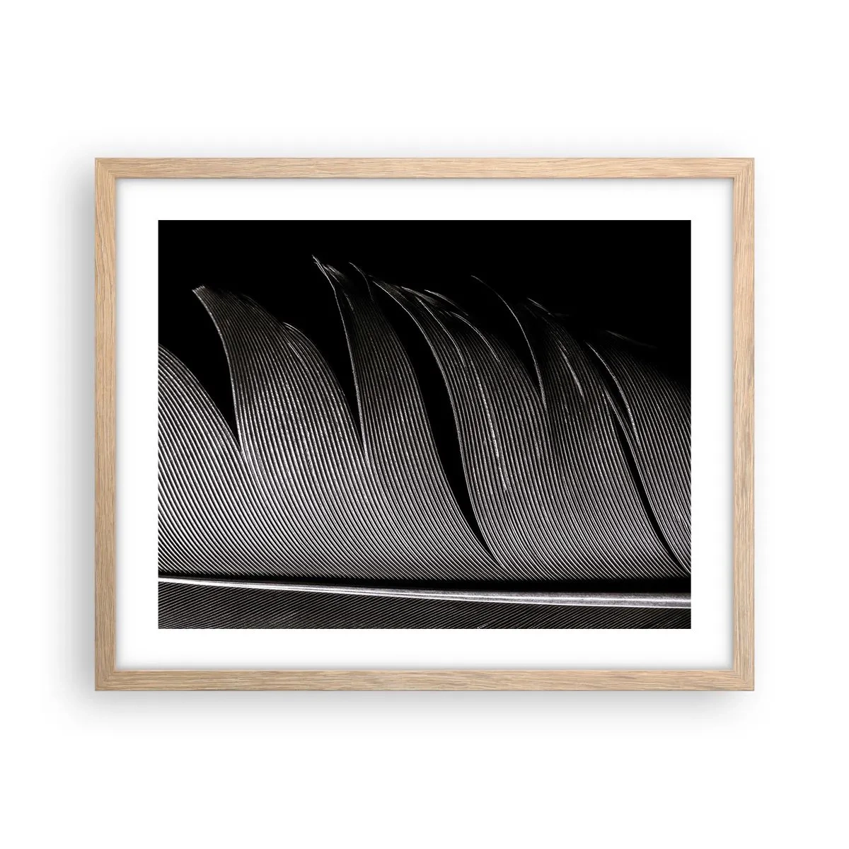 Plagát v ráme zo svetlého duba - Perie – nádherná konštrukcia - 50x40 cm