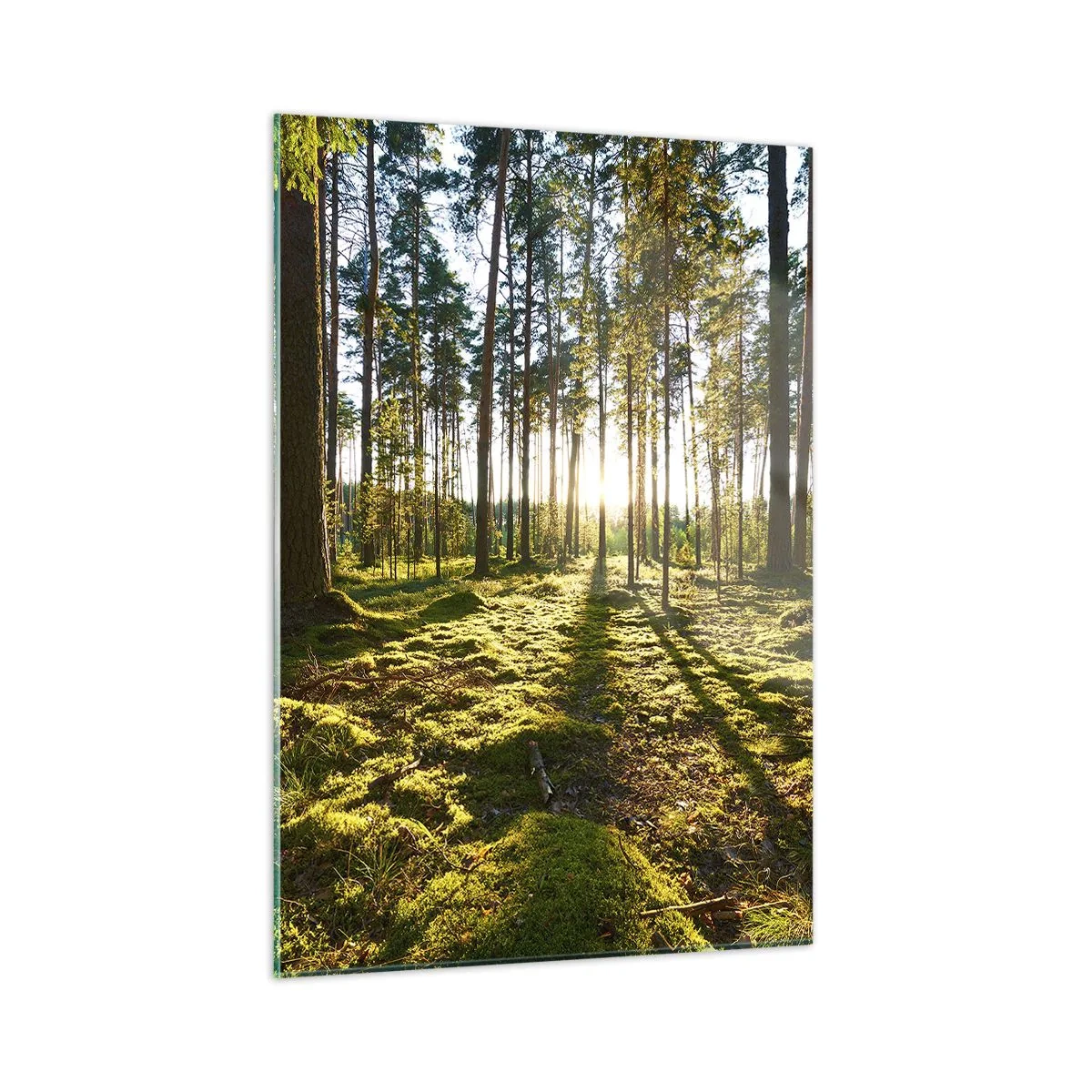 Obraz na skle - …Za siedmimi lesmi - 50x70 cm
