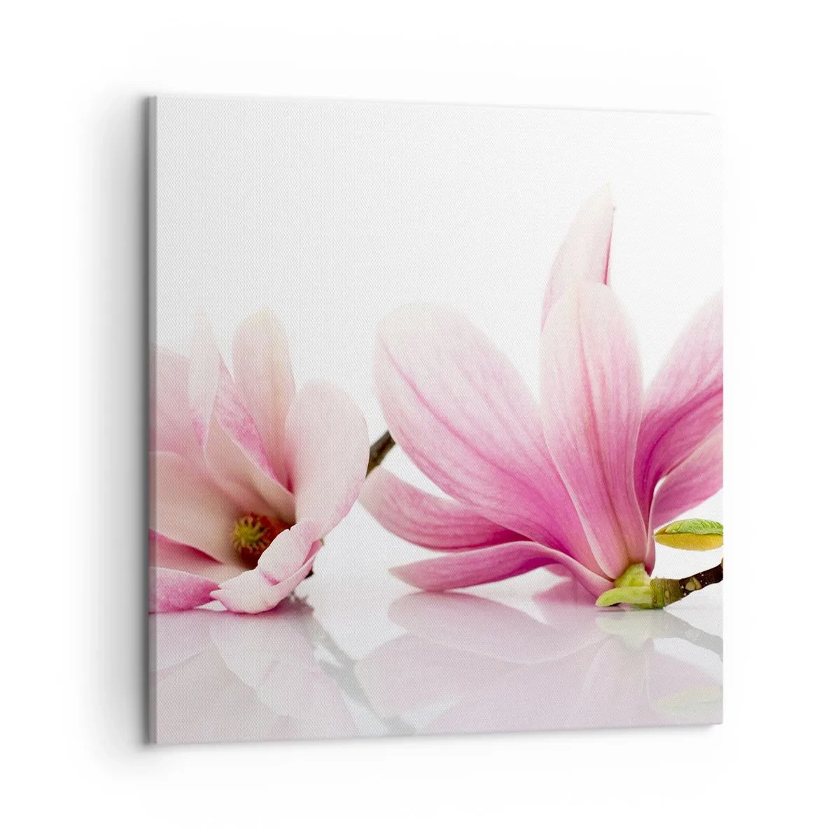 Obraz na plátne - Jemné ako závan jari - 50x50 cm