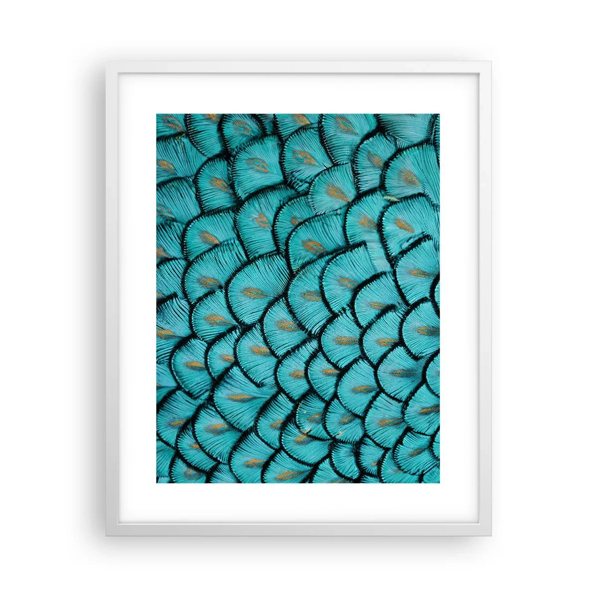 Plagát v bielom ráme - Veľká slávnosť peria - 40x50 cm