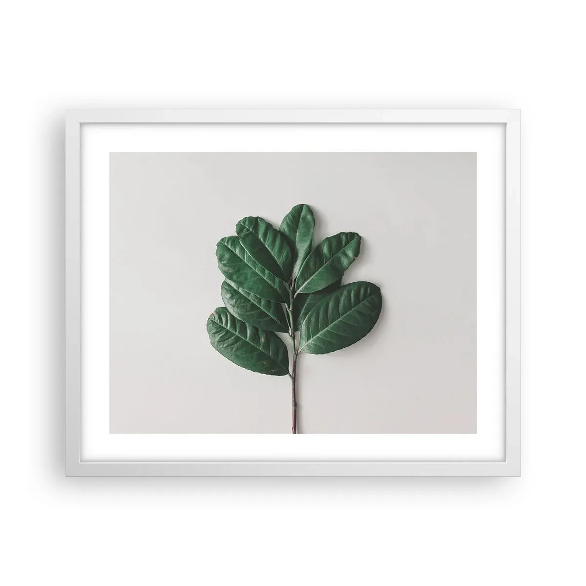 Plagát v bielom ráme - Kresba samotnej prírody - 50x40 cm