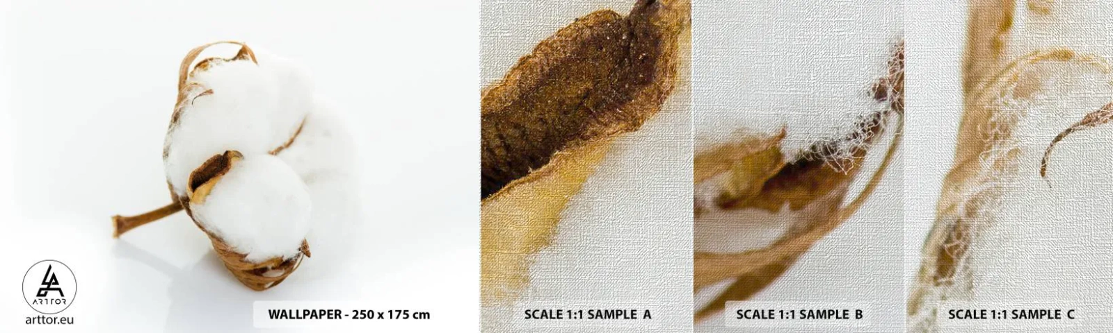 Vzorka fototapety Premium Canvas - Mäkká od prírody - Bavlna, Minimalistický, Kvetina - 100x30 cm