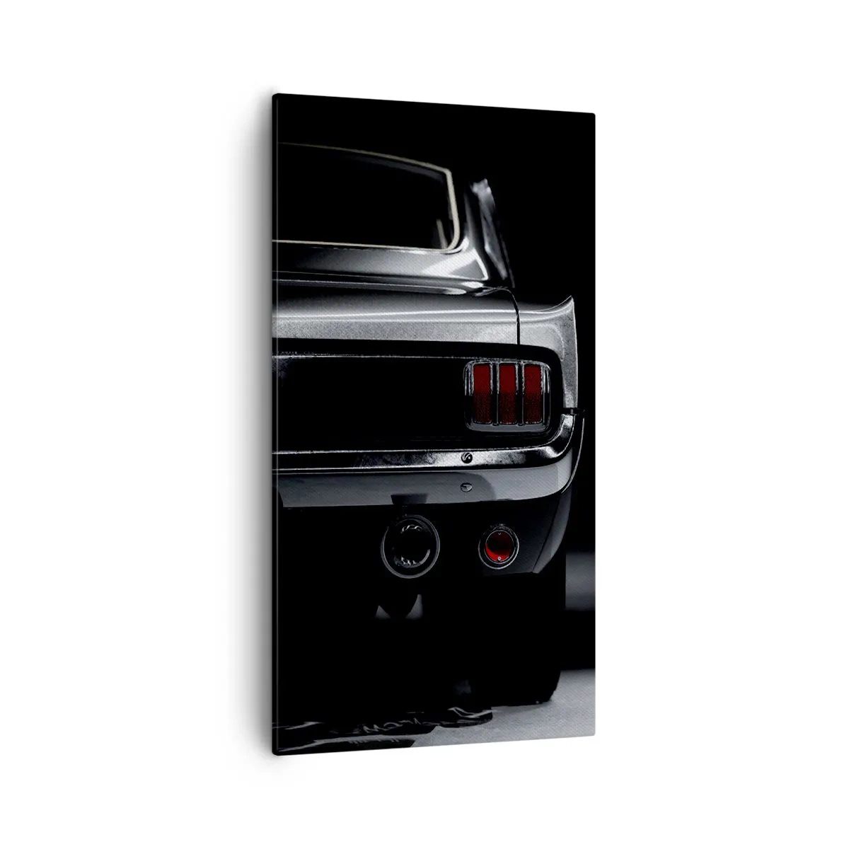 Obraz na plátne - Kúzlo klasiky - 55x100 cm