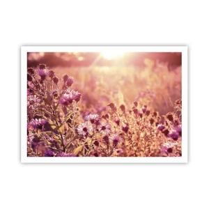 Plagát - Než skončí leto - 100x70 cm