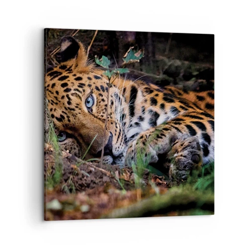 Obraz na plátne - Ver mi - 50x50 cm