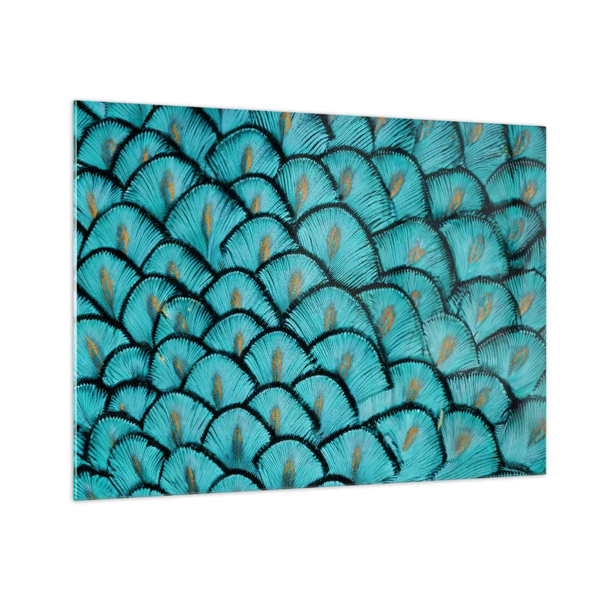Obraz na skle - Detailný záber na tyrkysové pávie perie tvoriace dekoratívny vzor. - 70x50cm - Veľká slávnosť peria - Moderná nástenná dekorácia do obývacej izby a spálne ARTTOR