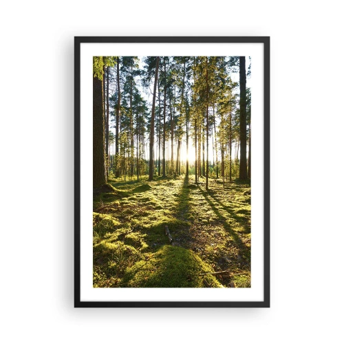 Plagát v čiernom ráme - Zelený les ráno s lúčmi vychádzajúceho slnka - 50x70cm - …Za siedmimi lesmi - Moderná nástenná dekorácia do obývacej izby a spálne ARTTOR