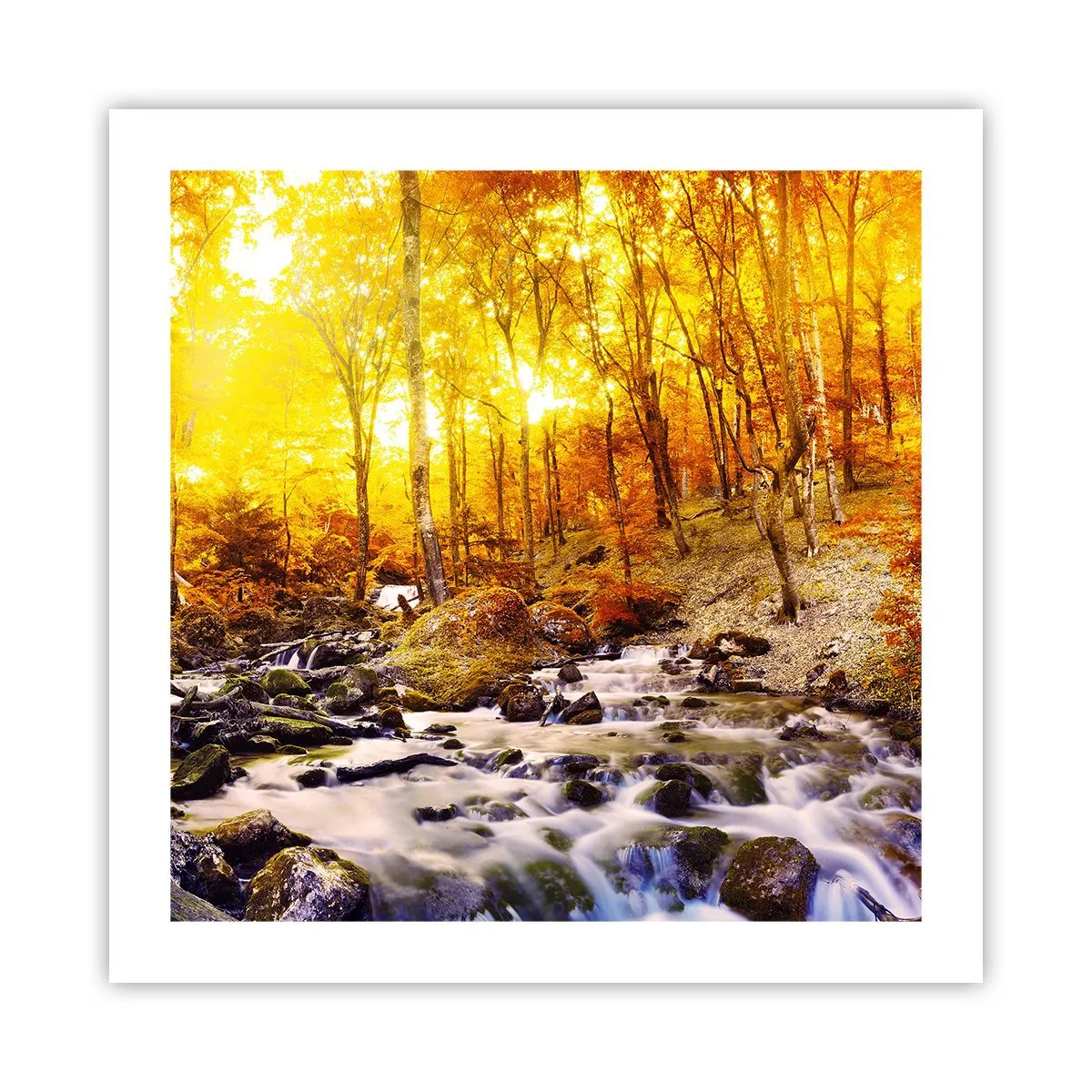 Plagát - Kamene zasadené do zlata a platiny - 50x50 cm
