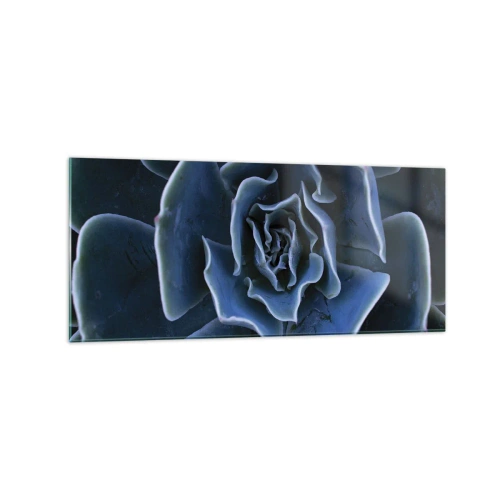 Obraz na skle - Púštny kvet - 120x50 cm