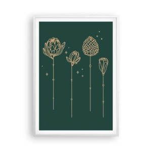 Plagát v bielom ráme - Bylinky - 70x100 cm