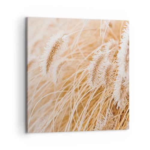 Obraz na plátne - Zlaté šušťanie tráv - 60x60 cm