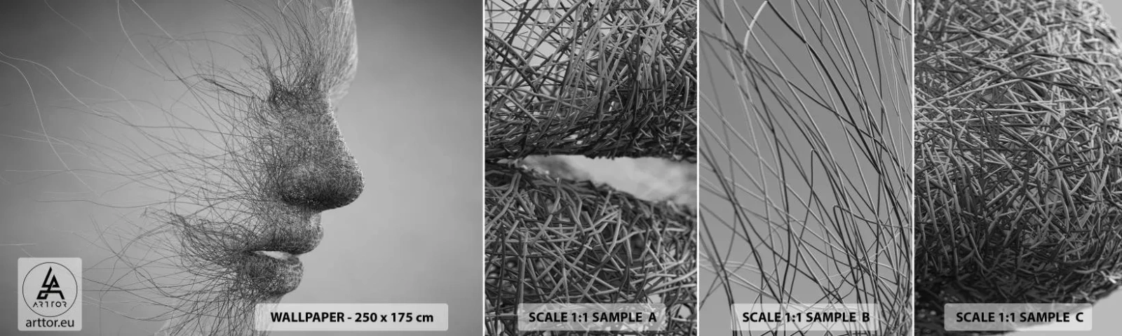 Vzorka Fototapeta Standard Eco - Duch vetra - Abstrakcia, Ženská tvár, Grafika - 100x30 cm