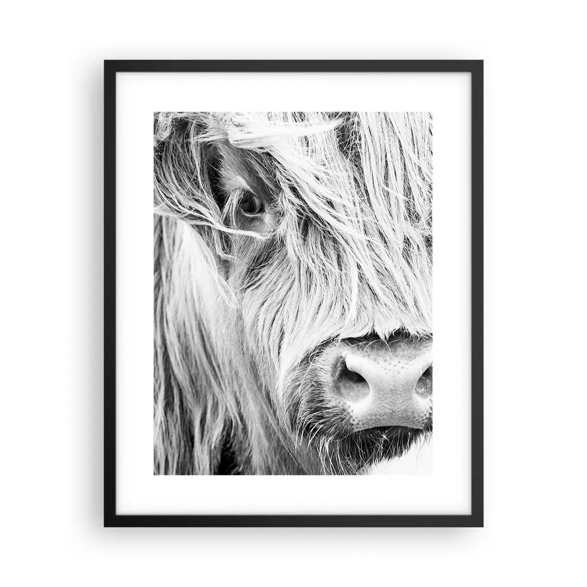 Plagát v čiernom ráme - Škótska divokosť - 40x50 cm