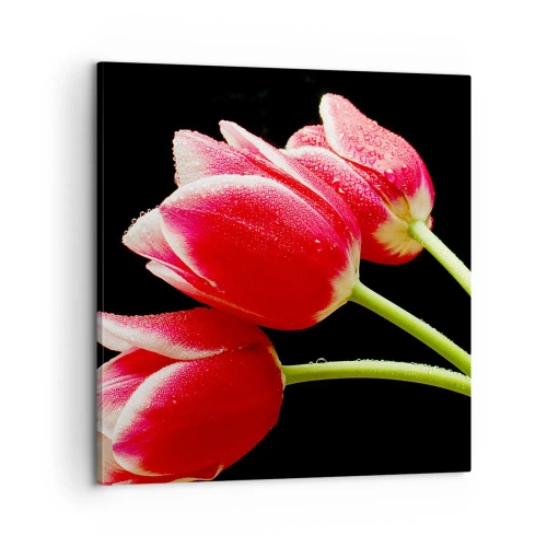 Obraz na plátne - Sľub čistej lásky - 60x60 cm